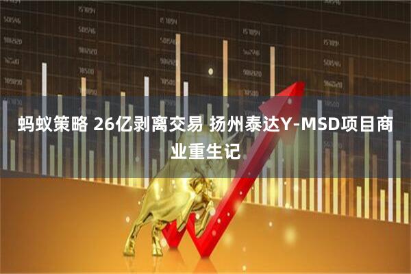 蚂蚁策略 26亿剥离交易 扬州泰达Y-MSD项目商业重生记