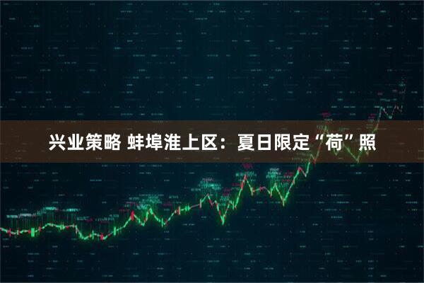 兴业策略 蚌埠淮上区:夏日限定“荷”照