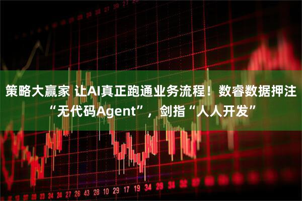 策略大赢家 让AI真正跑通业务流程！数睿数据押注“无代码Agent”，剑指“人人开发”