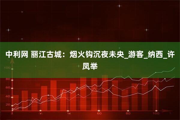 中利网 丽江古城：烟火钩沉夜未央_游客_纳西_许凤举