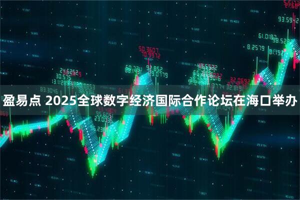 盈易点 2025全球数字经济国际合作论坛在海口举办