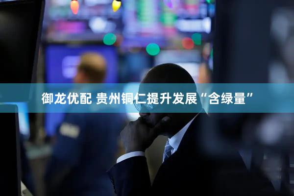 御龙优配 贵州铜仁提升发展“含绿量”