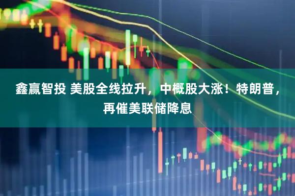 鑫赢智投 美股全线拉升，中概股大涨！特朗普，再催美联储降息